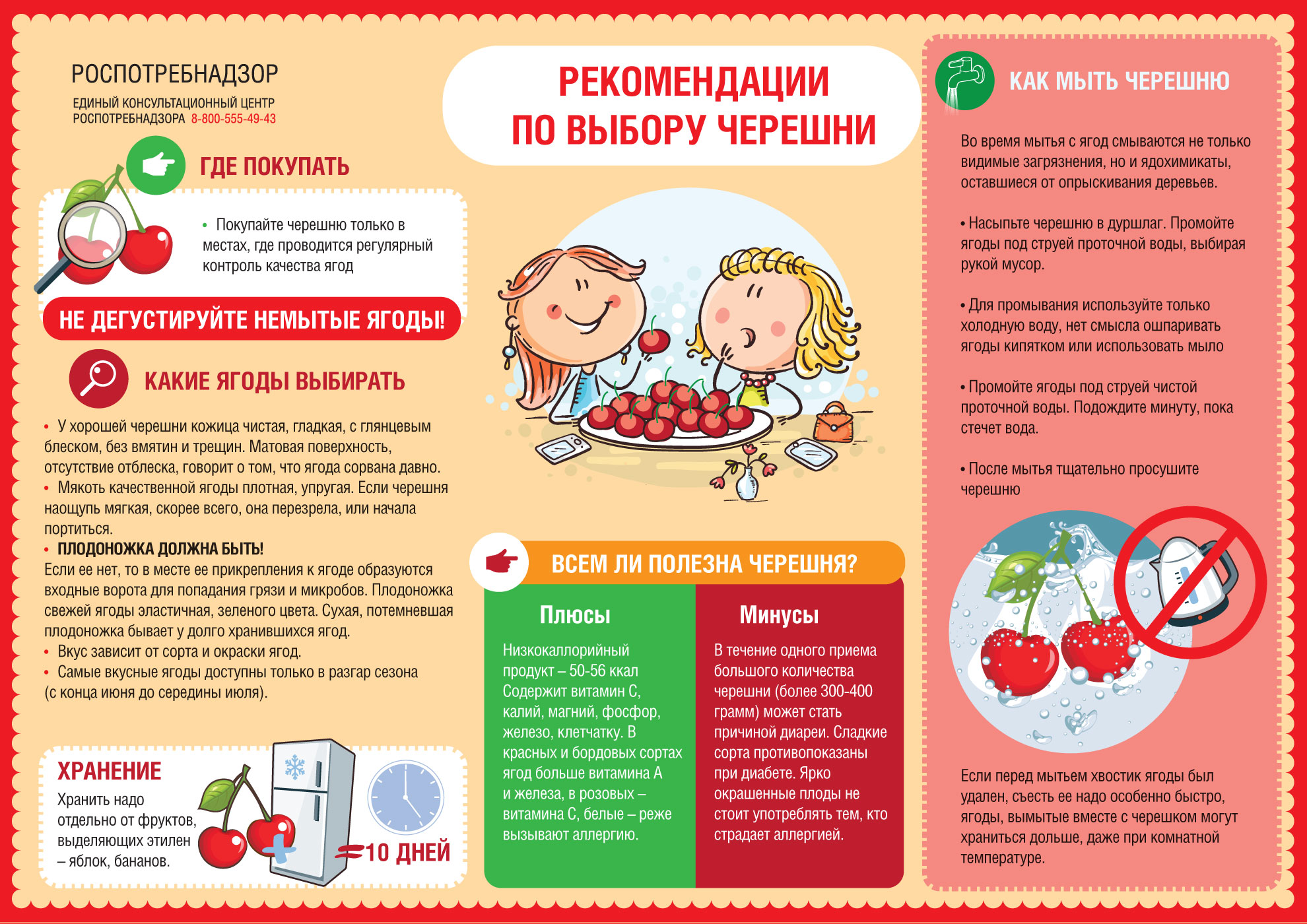Как правильно выбрать и хранить черешню. Памятка